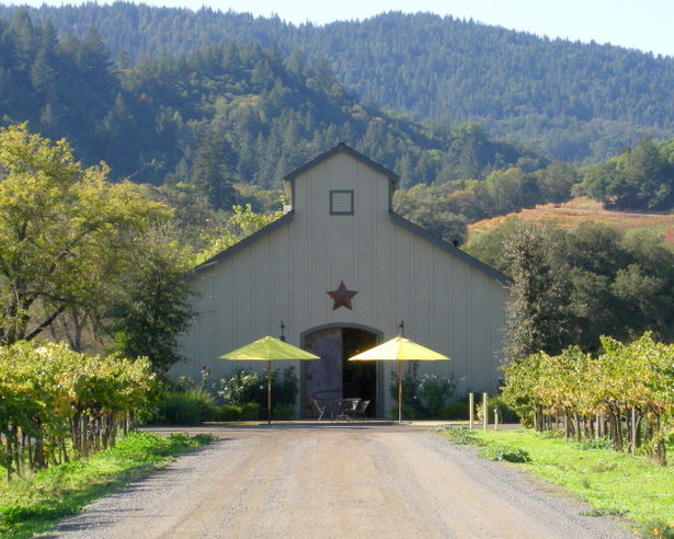 Amista Vineyards, Dry Creek Valley, Sonoma Wine Country