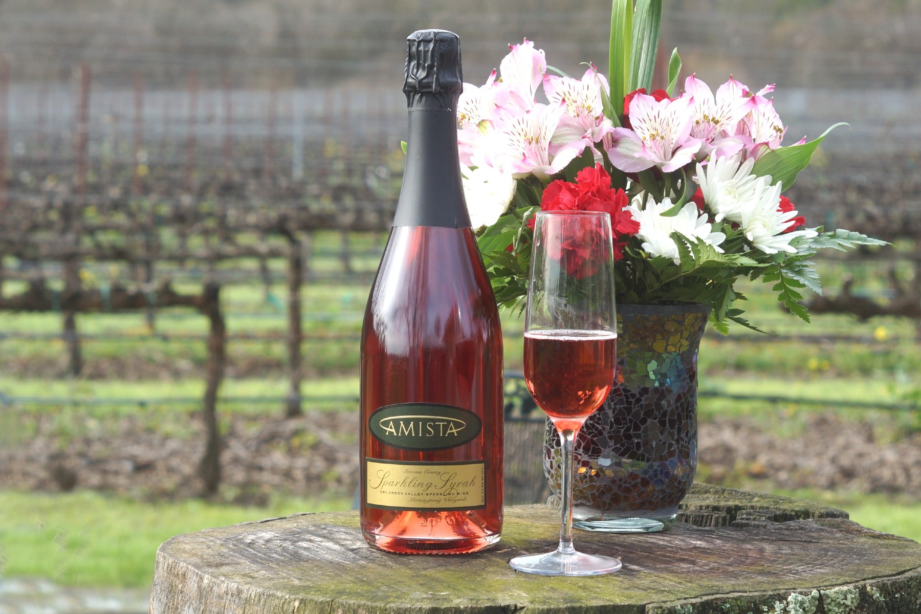 Sparkling Syrah from Amista Vineyards - Joy in a Bottle
