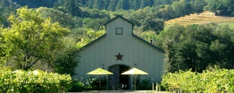 Amista Vineyards, Healdsburg, California