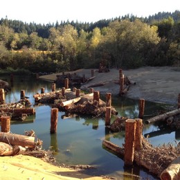 Amista Vineyards Habitat Restoration