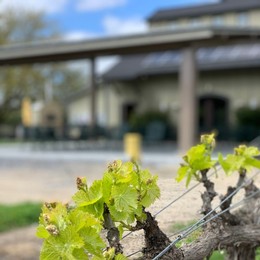 Amista Vineyards Solar Powered Patio