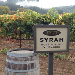 Amista Vineyards Syrah