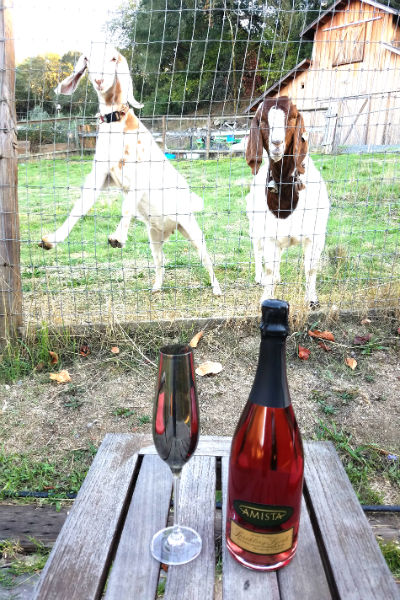 Amista Sparkling Syrah on the Farm