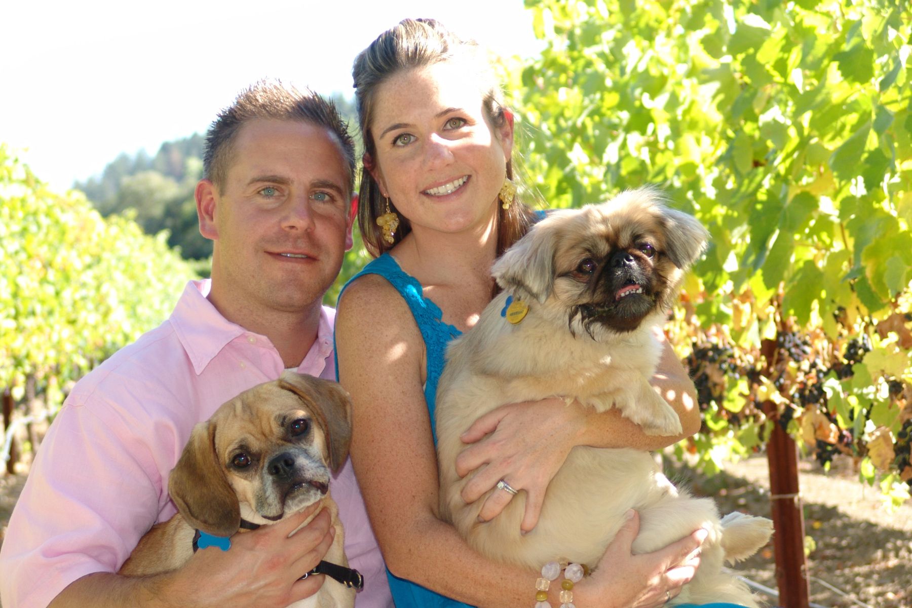 Happy Couple and Dogs at Amista Vineyards