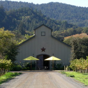 Amista Vineyards Tasting Room with Yellow Unbrellas