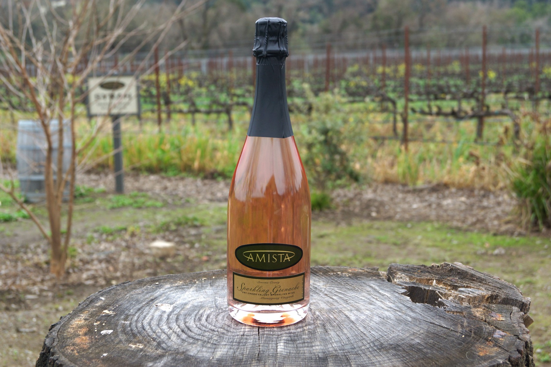 Amista Sparkling Grenache with Vineyards in Background