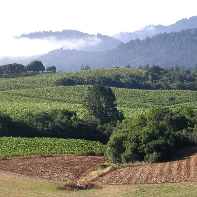 Dry Creek Valley Home of Amista-Vineyards Healdsburg CA