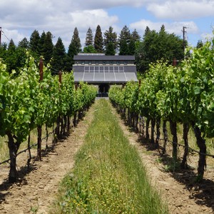 Amista Vineyards Solar Powered Patio