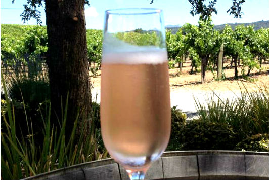 Amista Vineyards Sparkling Grenache