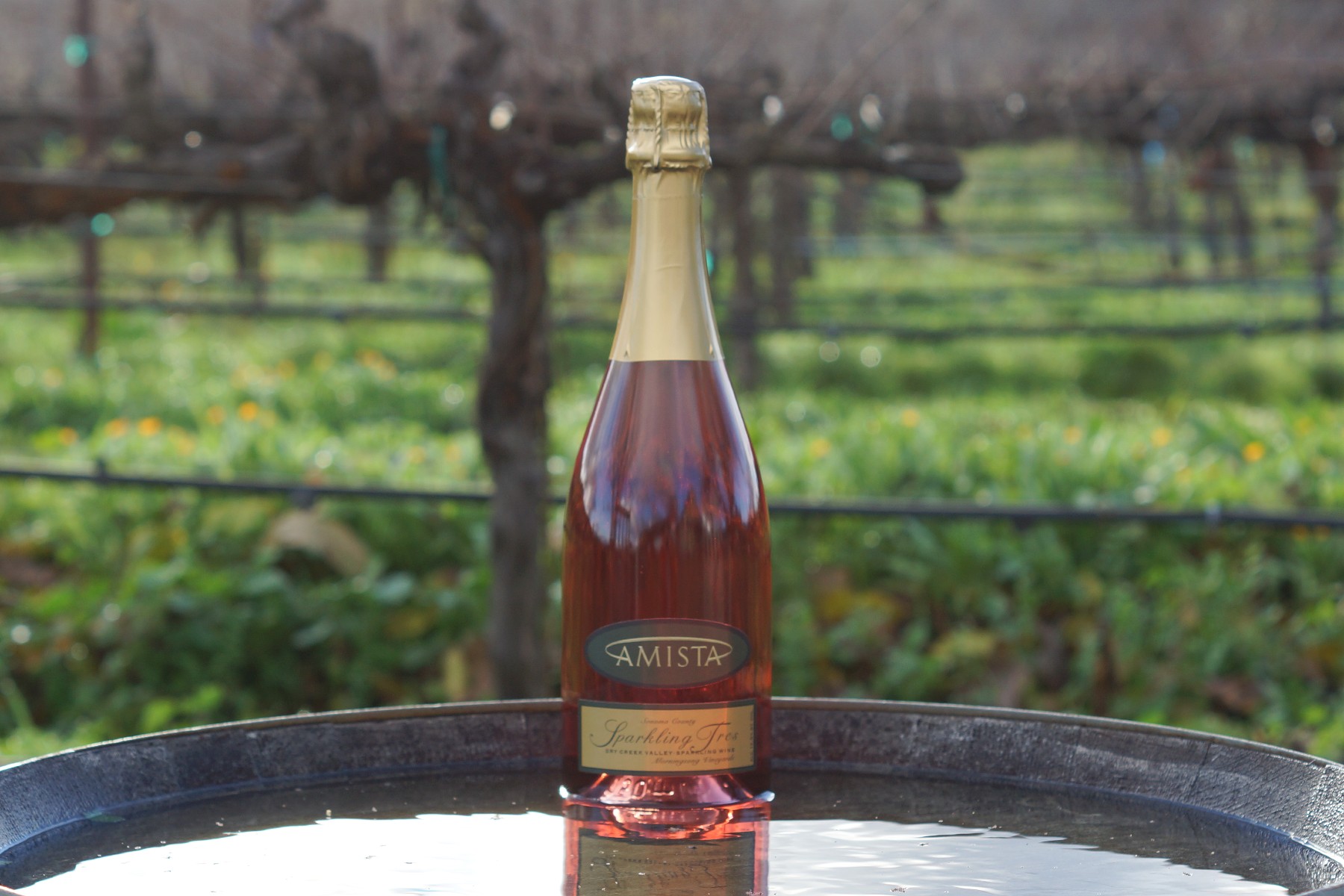 Amista Vineyards Sparkling Tres  from Healdsburg California