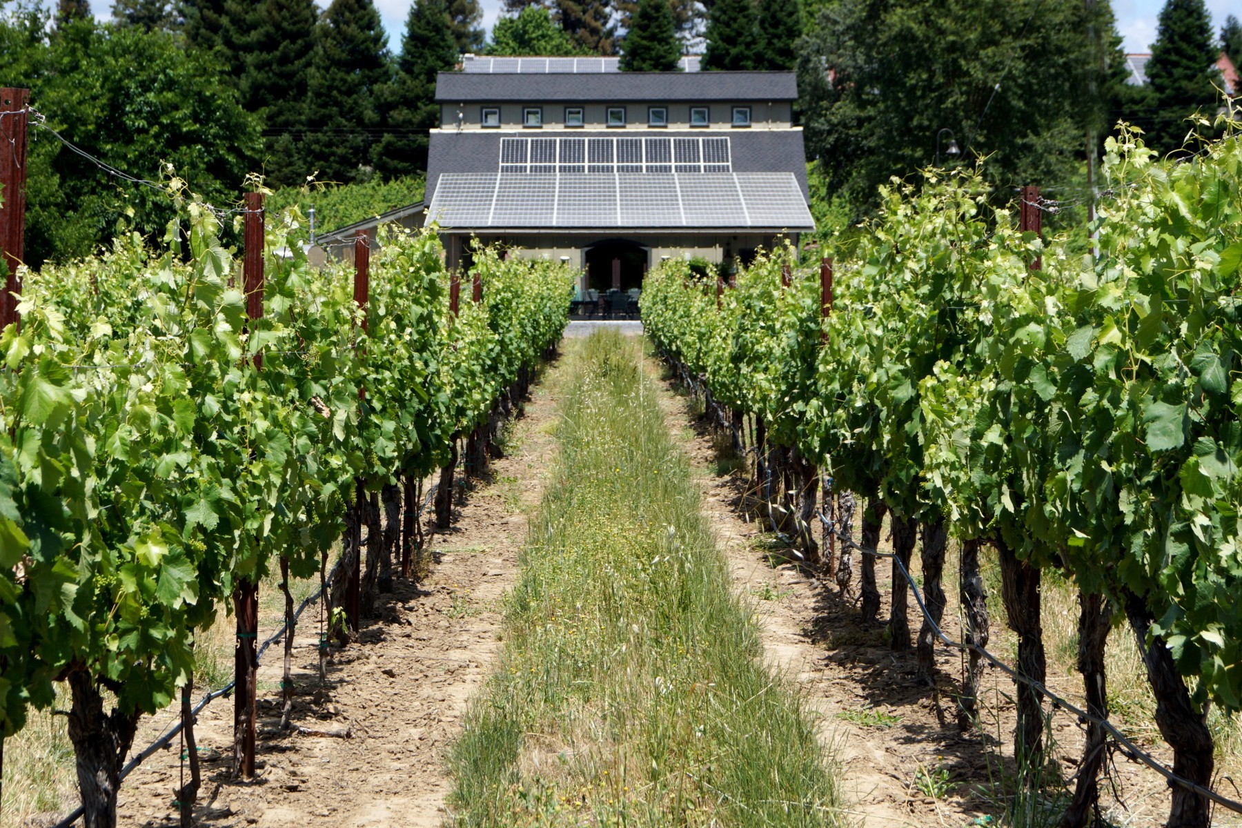 Solar Panels on Patio and Barn at Amista Vineyards