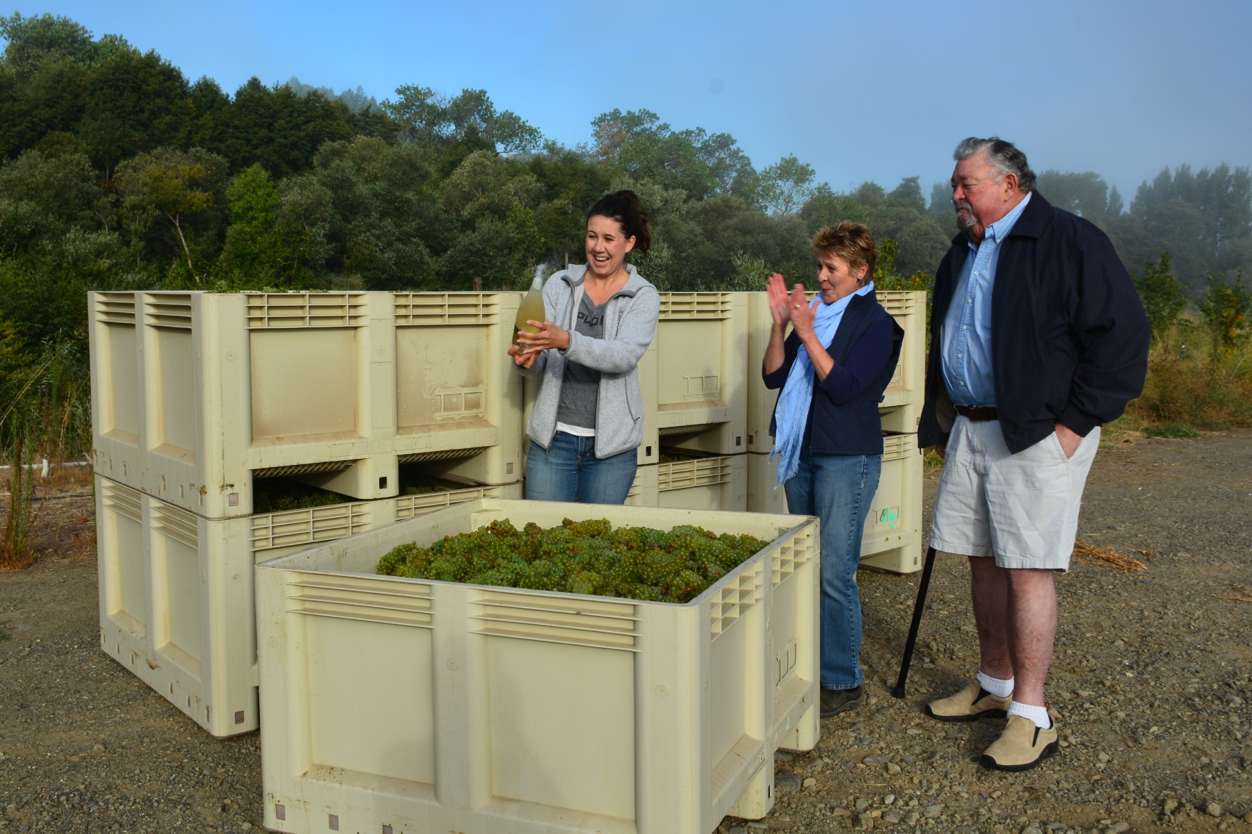Blessing of the Grapes, Harvest at Amista Vineyards