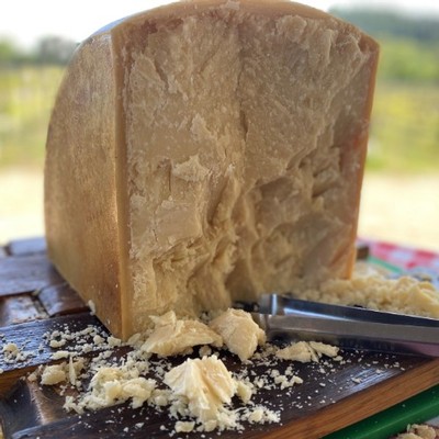 Hunk of Parmesan to Pair with Grenache from Amista Vineyards
