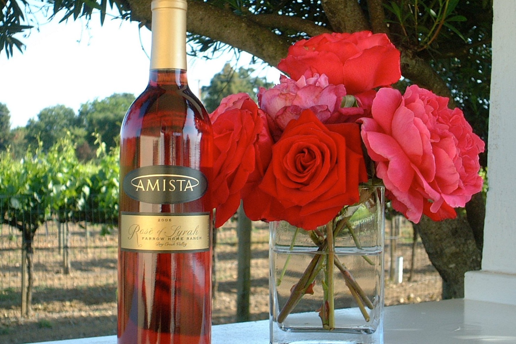 Rosé  of Syrah from Amista Vineyards