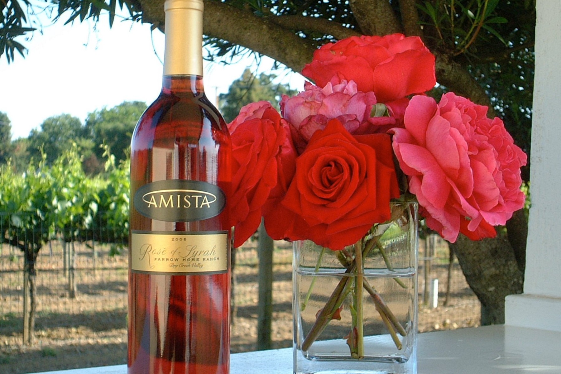 Amista Sparkling Rose of Syrah with Roses - 1st Step to Sparkling WIne