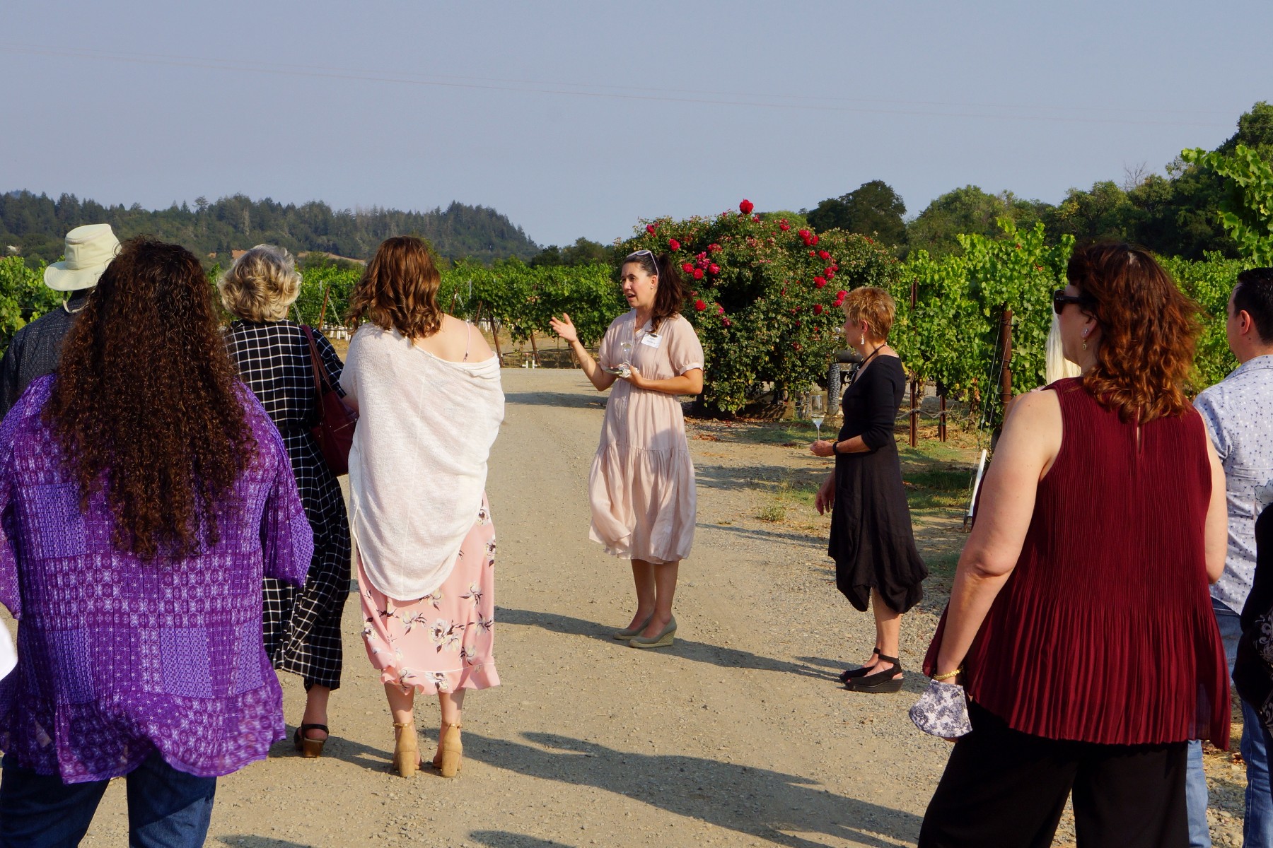 Winemaker Ashley Herzberg Leading a Vineyard Walk at Amista Vineyards