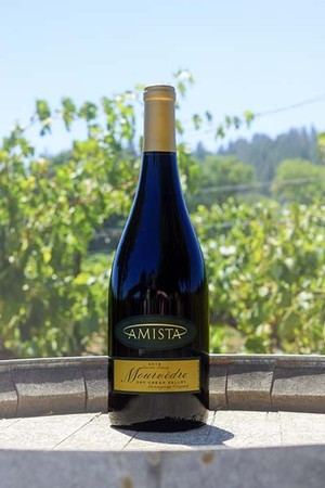 Amista 2019 Mourvèdre