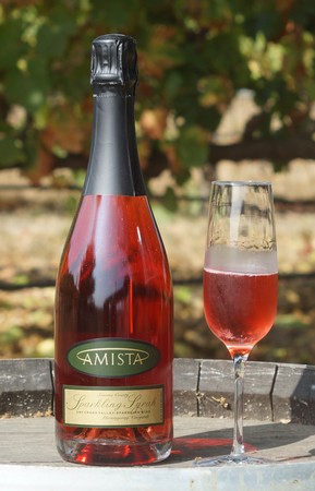 Amista Sparkling Syrah NV17