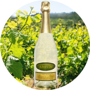 Amista Sparkling Blanc de Blanc NV20