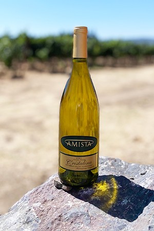 Amista 2021 Cristalina Chardonnay