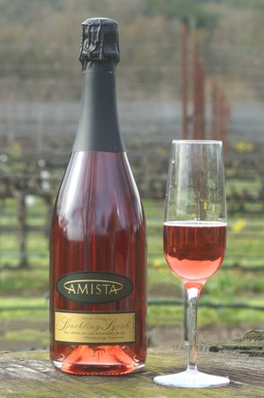 Amista Sparkling Syrah NV16