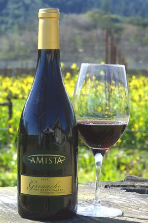 Amista 2016 Grenache