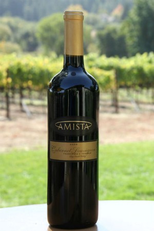 Amista 2008 Cabernet Sauvignon