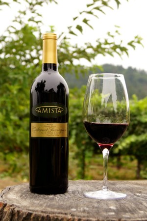 Amista 2013 Cabernet Sauvignon