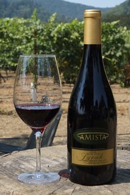 Amista 2014 Syrah