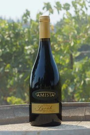 Amista 2017 Syrah