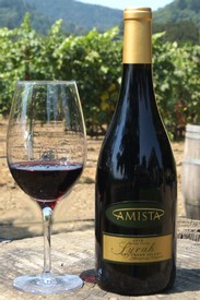 Amista 2015 Syrah