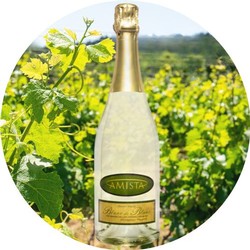 Amista Sparkling Blanc de Blanc NV21