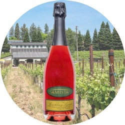 Amista Sparkling Syrah NV20