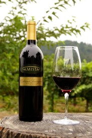 Amista 2013 Cabernet Sauvignon